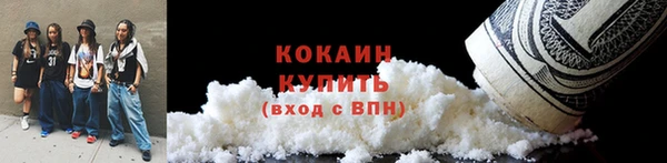 ГАЛЛЮЦИНОГЕННЫЕ ГРИБЫ Алзамай