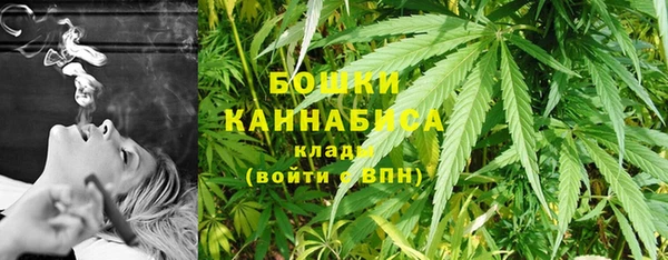 ГАЛЛЮЦИНОГЕННЫЕ ГРИБЫ Алзамай