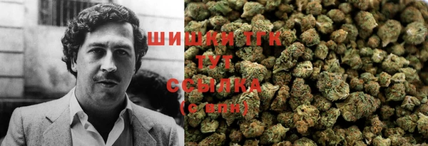 прущие крисы Сатка