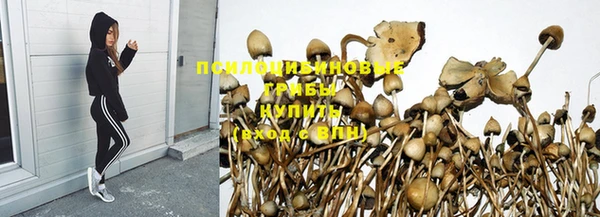 ГАЛЛЮЦИНОГЕННЫЕ ГРИБЫ Алзамай